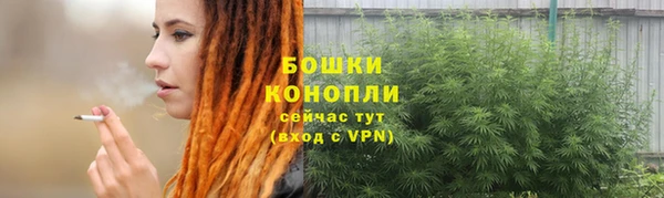 гашик Мегион