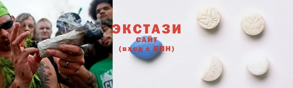 гашик Мегион