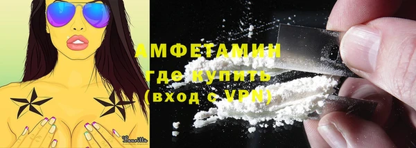 гашик Мегион