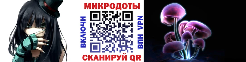 Галлюциногенные грибы Psilocybe Искитим
