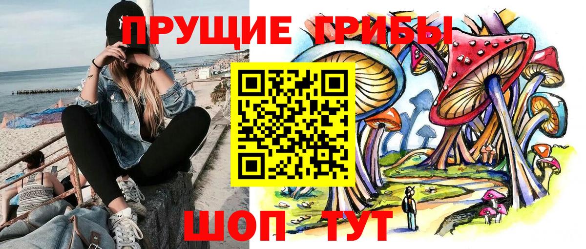 Искитим  Галлюциногенные грибы мицелий  Псилоцибиновые грибы ЛСД  Вход с VPN 