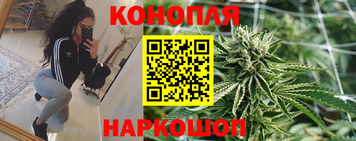 Канабис SATIVA & INDICA Искитим